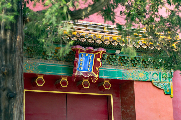 事先在故宫官网上购买了门票,因此不需要排长