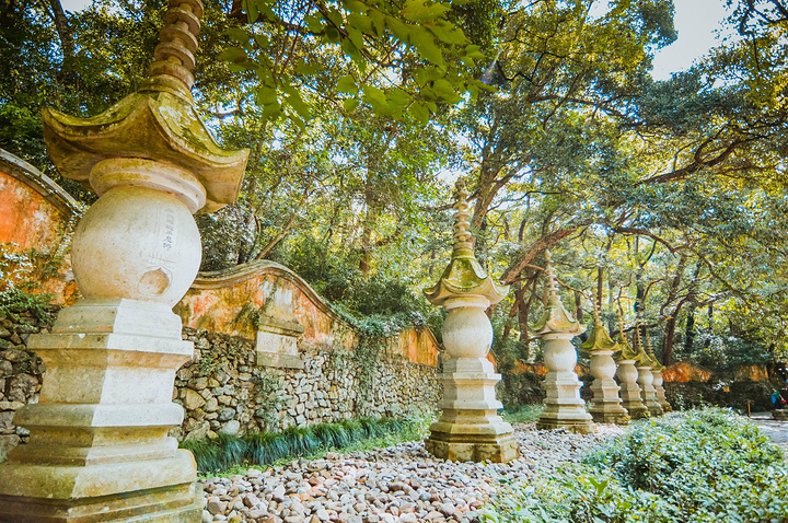 "依山就势而建，寺院每天迎来送往，游客如织。国清寺，被香烟缭绕了一千多年的“清净世界”_国清景区"的评论图片