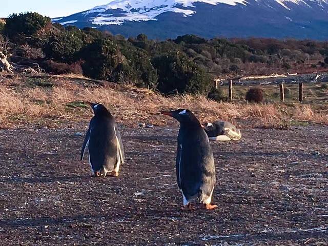 也格来日斯灯塔