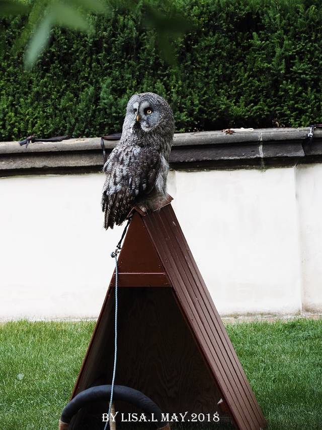 布拉格城堡皇家御花园