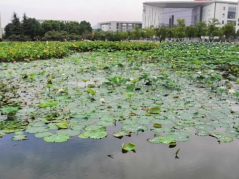 南京医科大学旅游景点图片