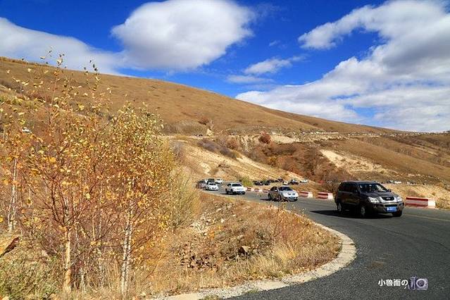 黄岗梁国家森林公园