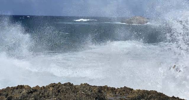 北岸生态冲浪游