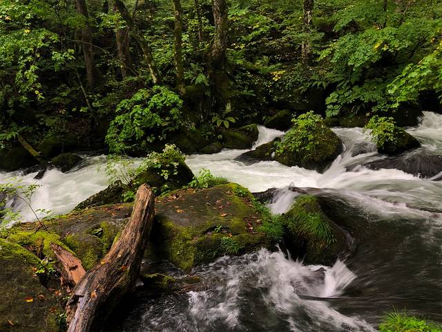 奥入濑溪流