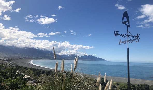 2018新西兰旅游攻略,自助游\/自驾\/游玩攻略\/吃