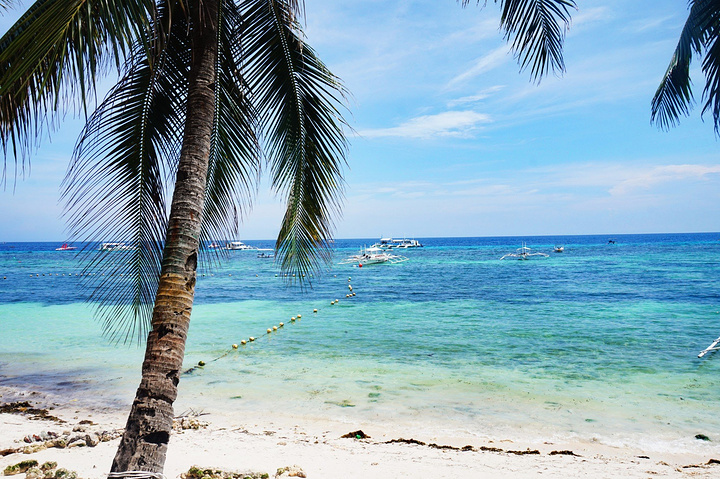 也不知道是谁说的阿罗娜海滩的海水很脏也不干