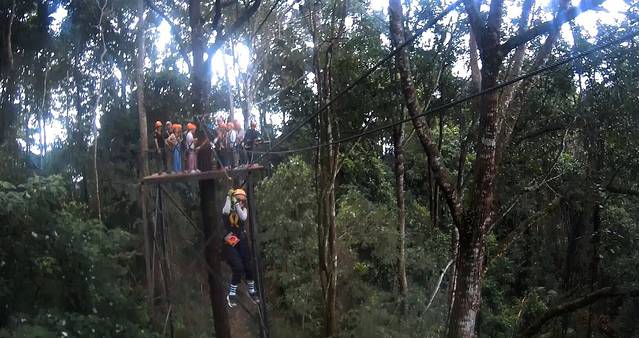 Skyline Adventure 清迈丛林飞跃