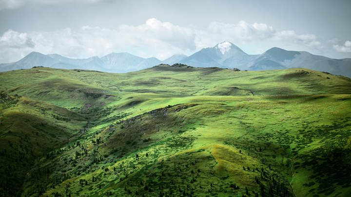 的山坡慢慢变成长满树木的丘陵,心里倒有点失落,旅途匆匆,下一次,不