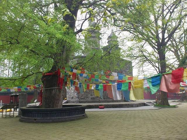 多宝佛塔话珍奇