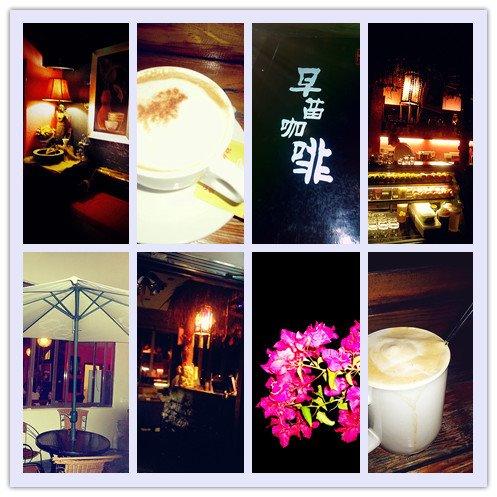 早苗Bar(盛世新第店)