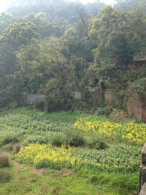 成都、峨眉山、都江堰5日自由行_成都旅游攻略