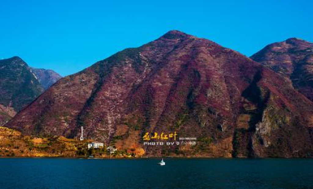 巫山论坛引领当地社交新潮流