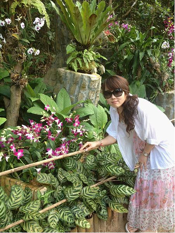 2017中午在香山咖啡馆吃的饭简直坑爹啊,是在