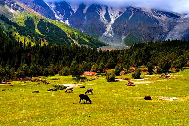 奥依塔克风景区