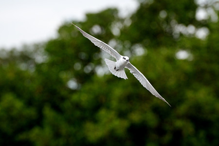 尼甘布野生动物园