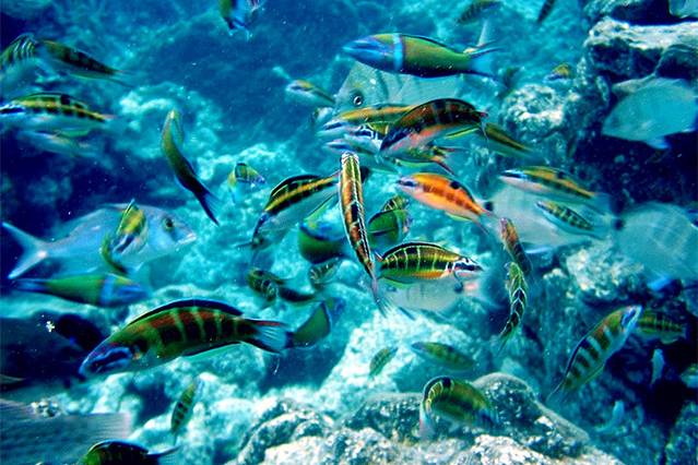 安通群岛国家海洋公园