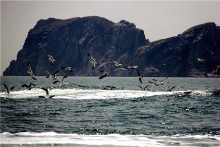 神龙仙岛海上主题公园