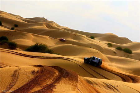 大沙头生态文化旅游区