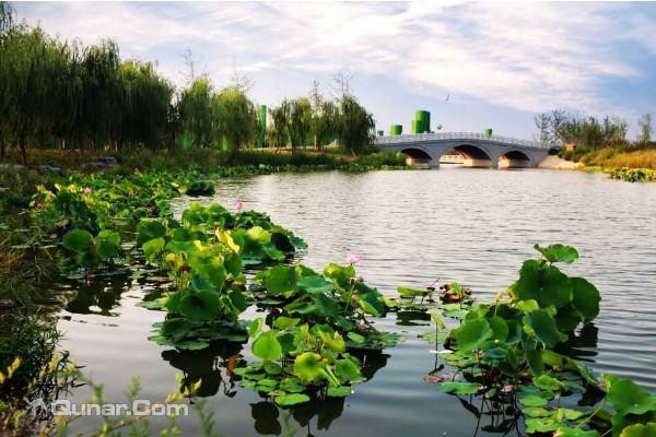 西安浐灞国家湿地公园