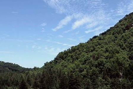 通天河国家森林公园