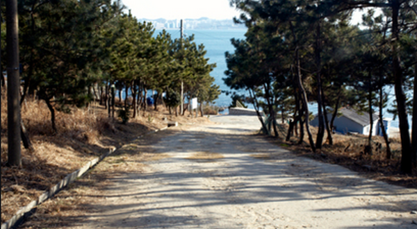 大都市自然公园