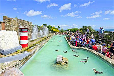 Seaview Wildlife Encounter