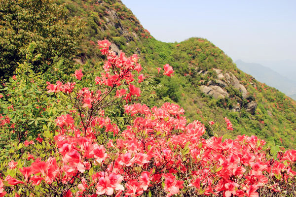 云梯畲族乡千秋畲族文化园