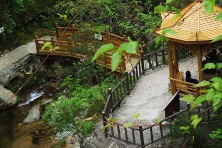 桃花冲森林公园