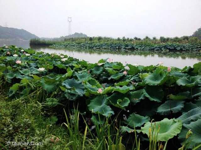 金龙水寨生态乐园