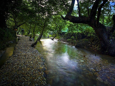 茶人谷生态旅游区旅游景点图片