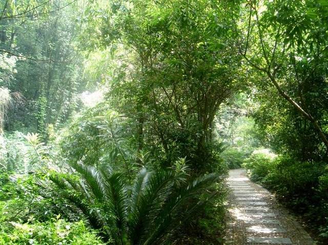 桂林园林植物园