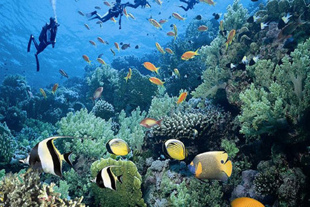 南波湾海洋生态乐园