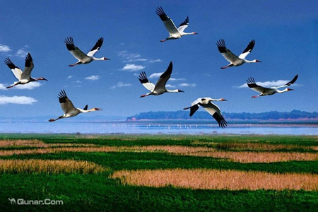 鄱阳湖国家湿地公园