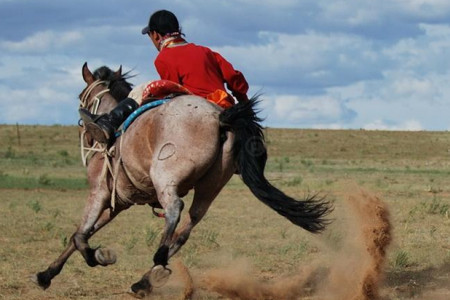 明乐农业生态庄园