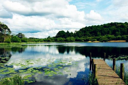 杭州湾国家湿地公园