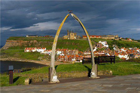 鲸须拱与库克船长纪念像