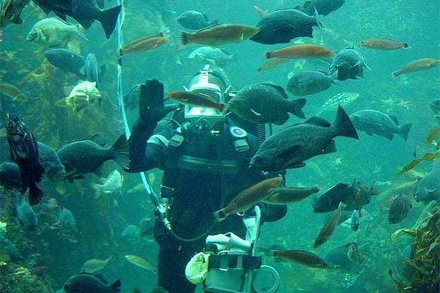 蒙特雷湾水族馆