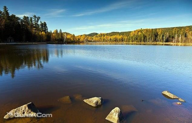 五营红松林海景区