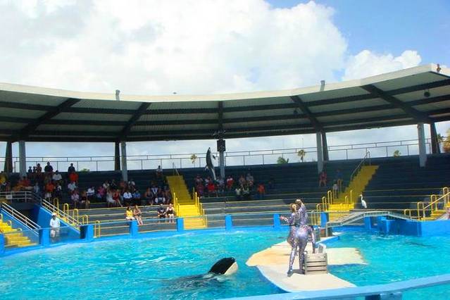 迈阿密水族馆