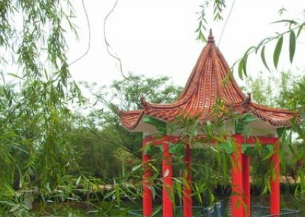 日照文山茶博园