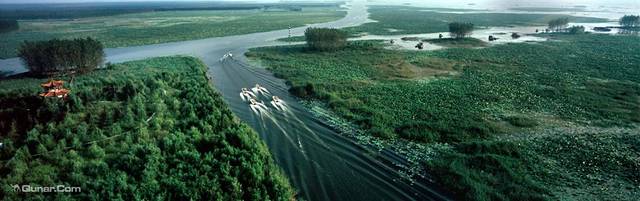 滕州微山湖红荷湿地