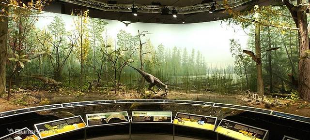 弗恩班克自然历史博物馆