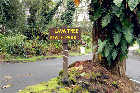 州立熔岩树公园