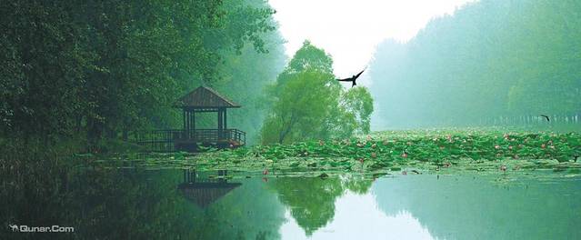 滕州微山湖红荷湿地
