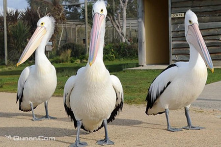 东海岸自然世界