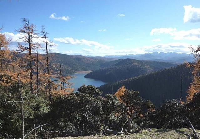 滇金丝猴国家公园