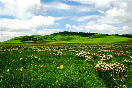 红松洼国家级自然保护区