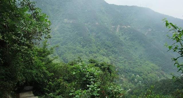 花脖山森林公园花脖山