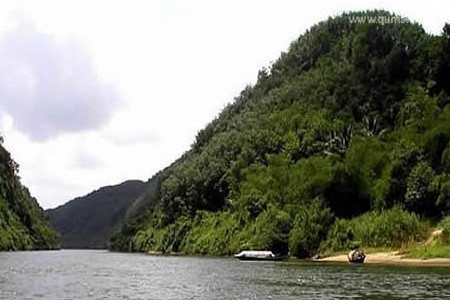 麒麟菜养殖基地