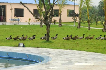 博鳌海鸭湖果园饭店